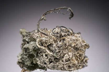 NATIVE SILVER