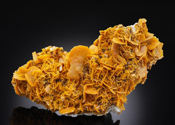 CC30461 specimen image