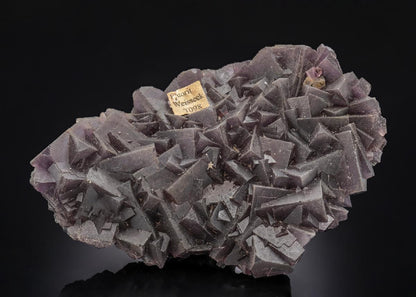 CC30483 specimen image