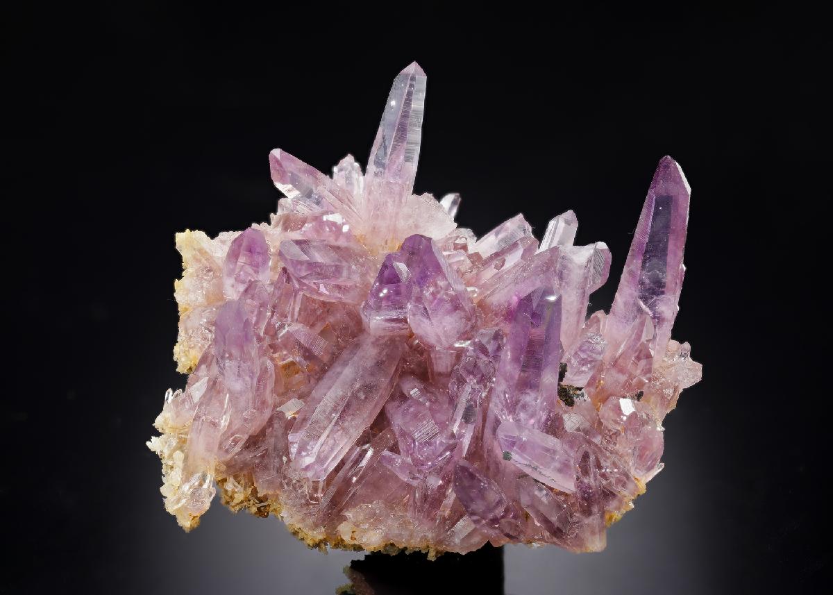 CC30493 specimen image