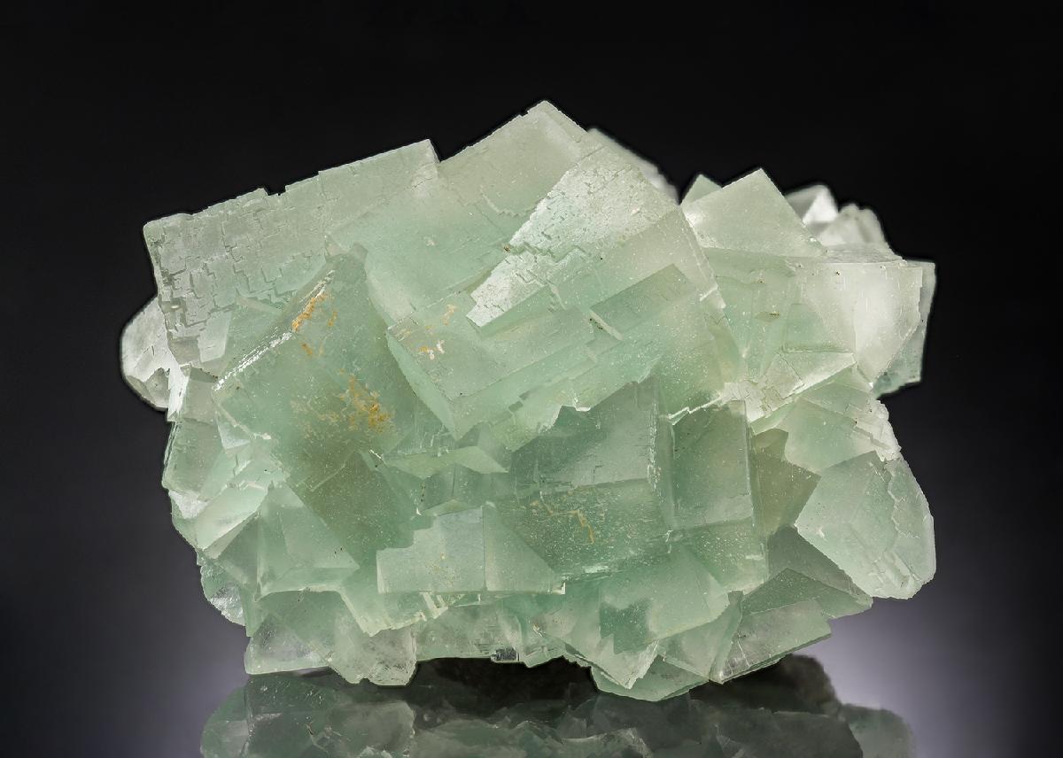 CC30495 specimen image