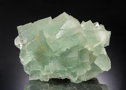 CC30495 specimen image