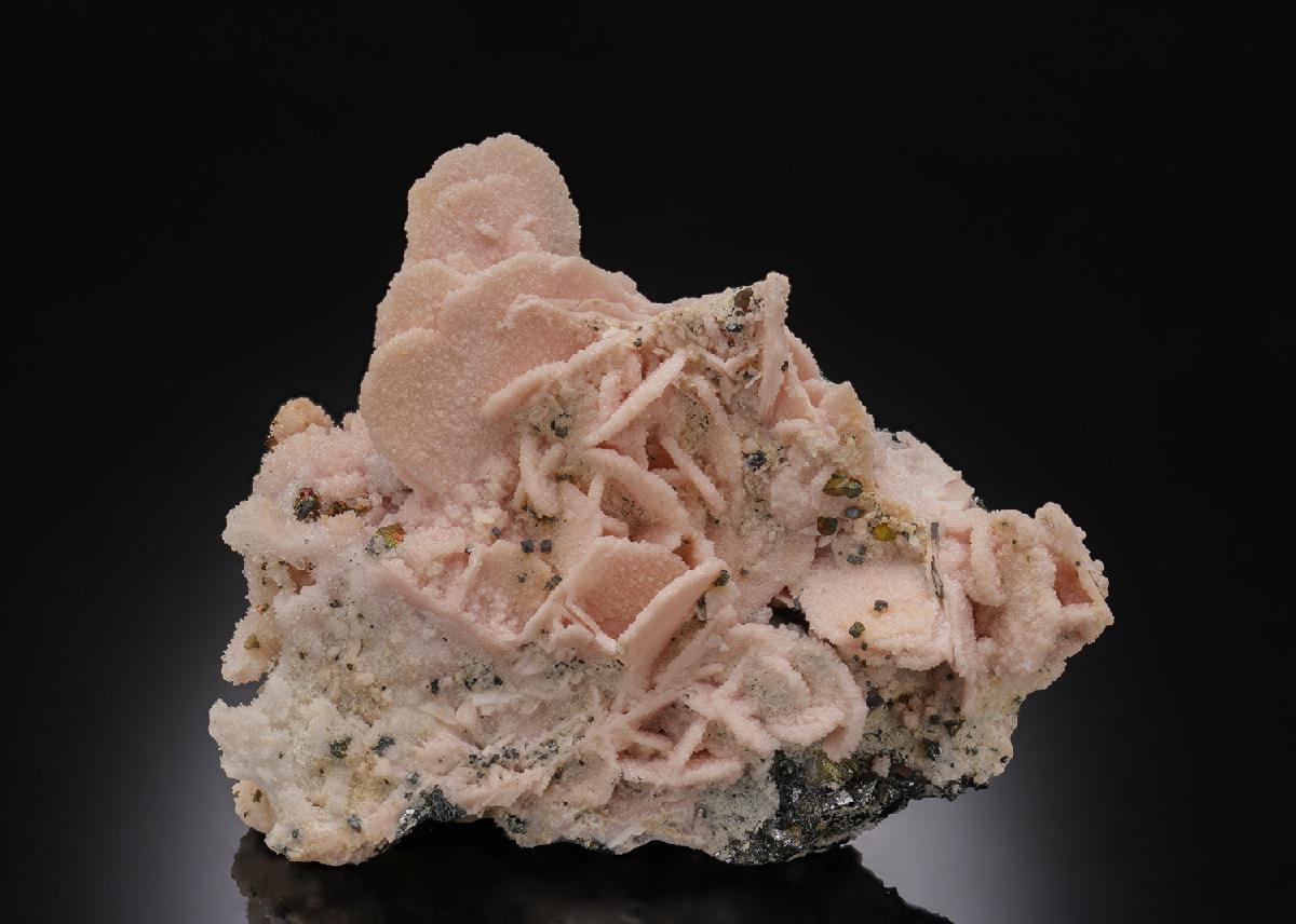 CC30499 specimen image