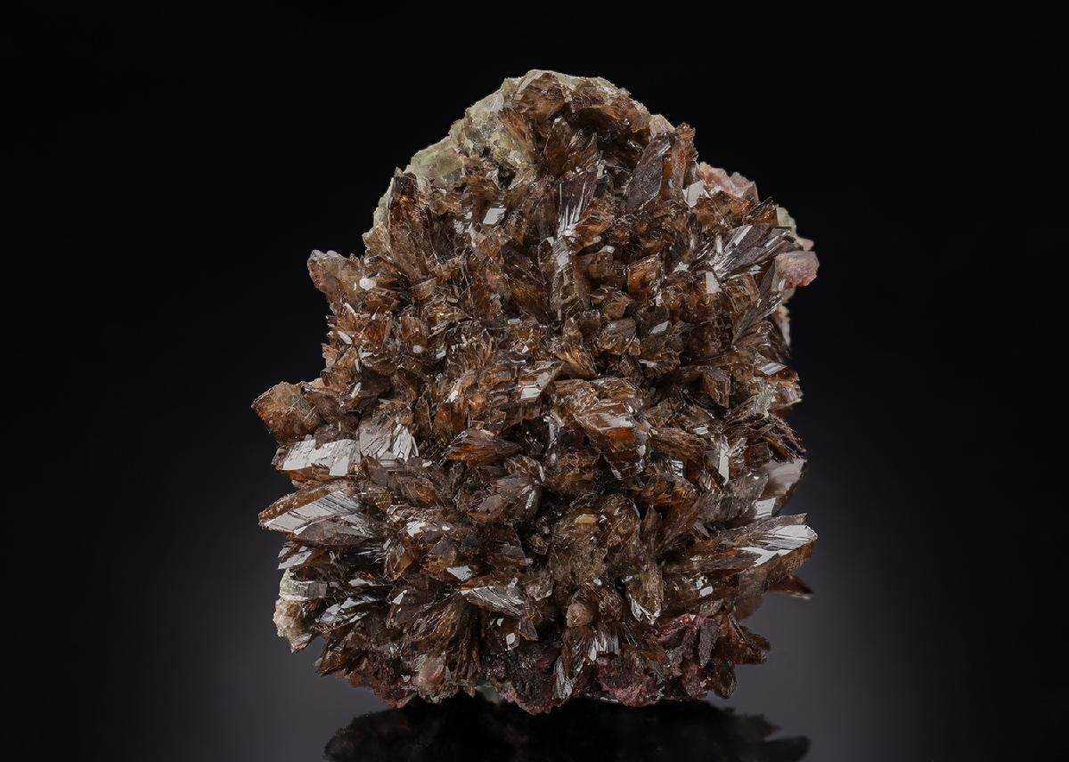CC30505 specimen image