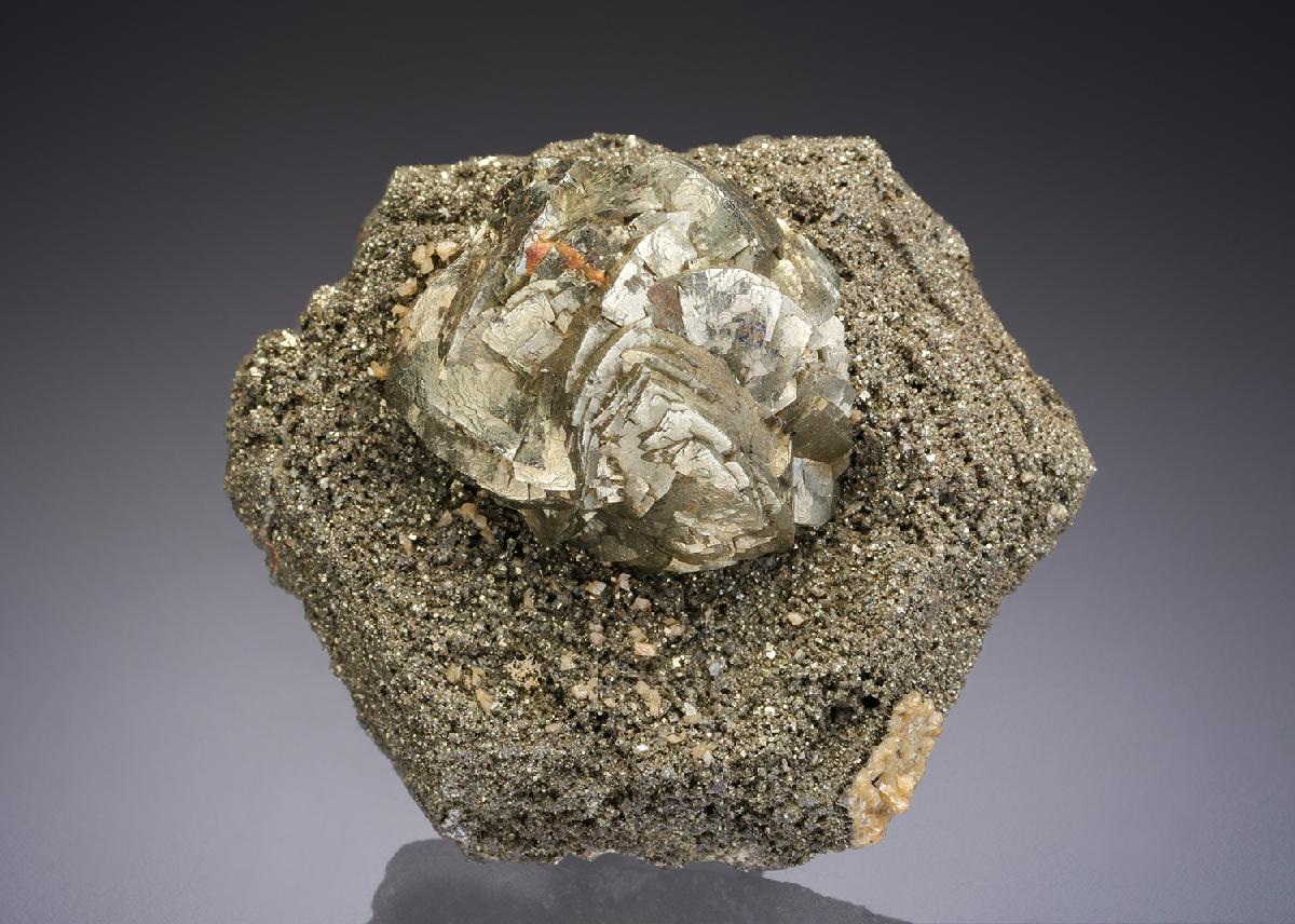 CC30527 specimen image