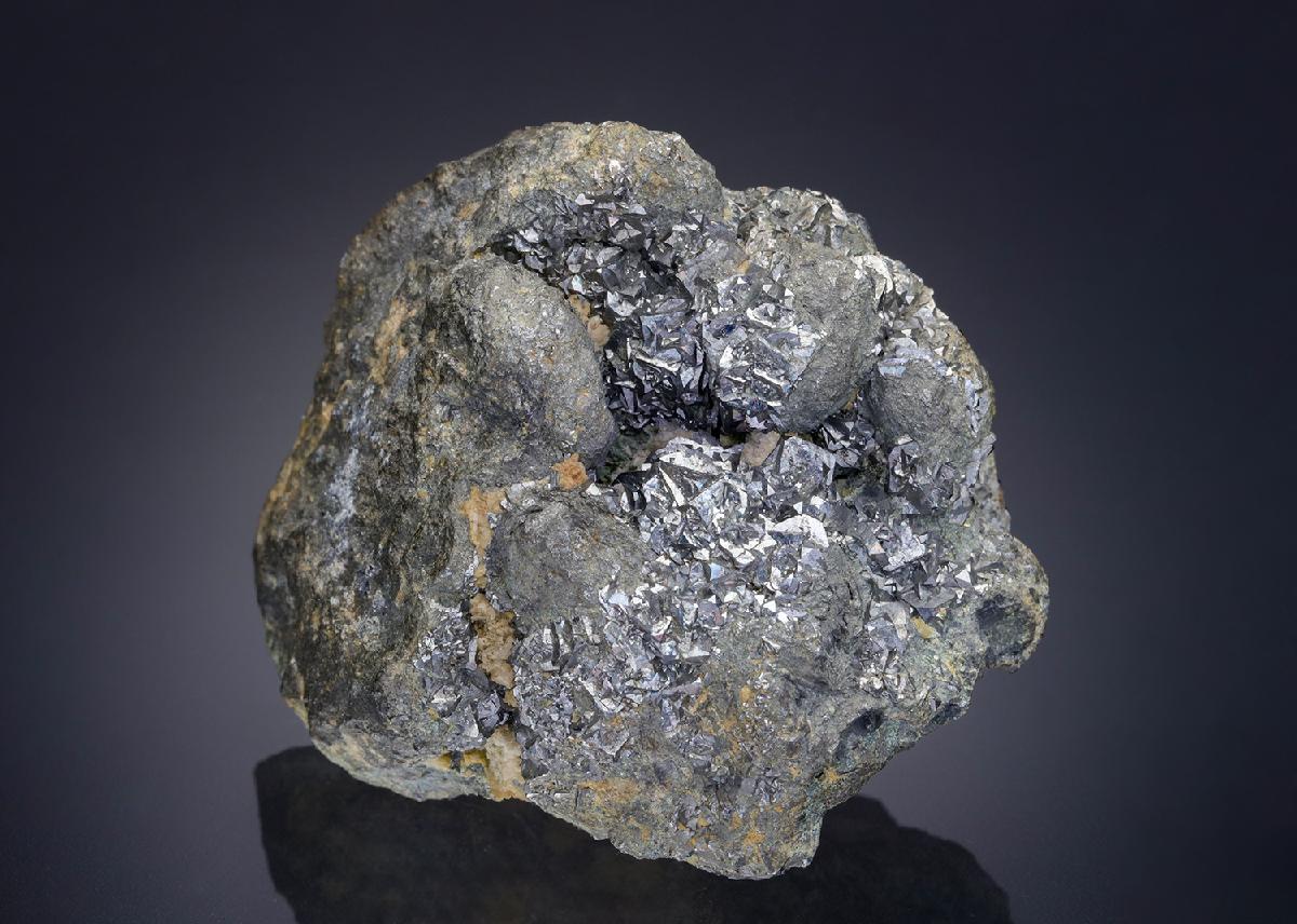 CC30537 specimen image