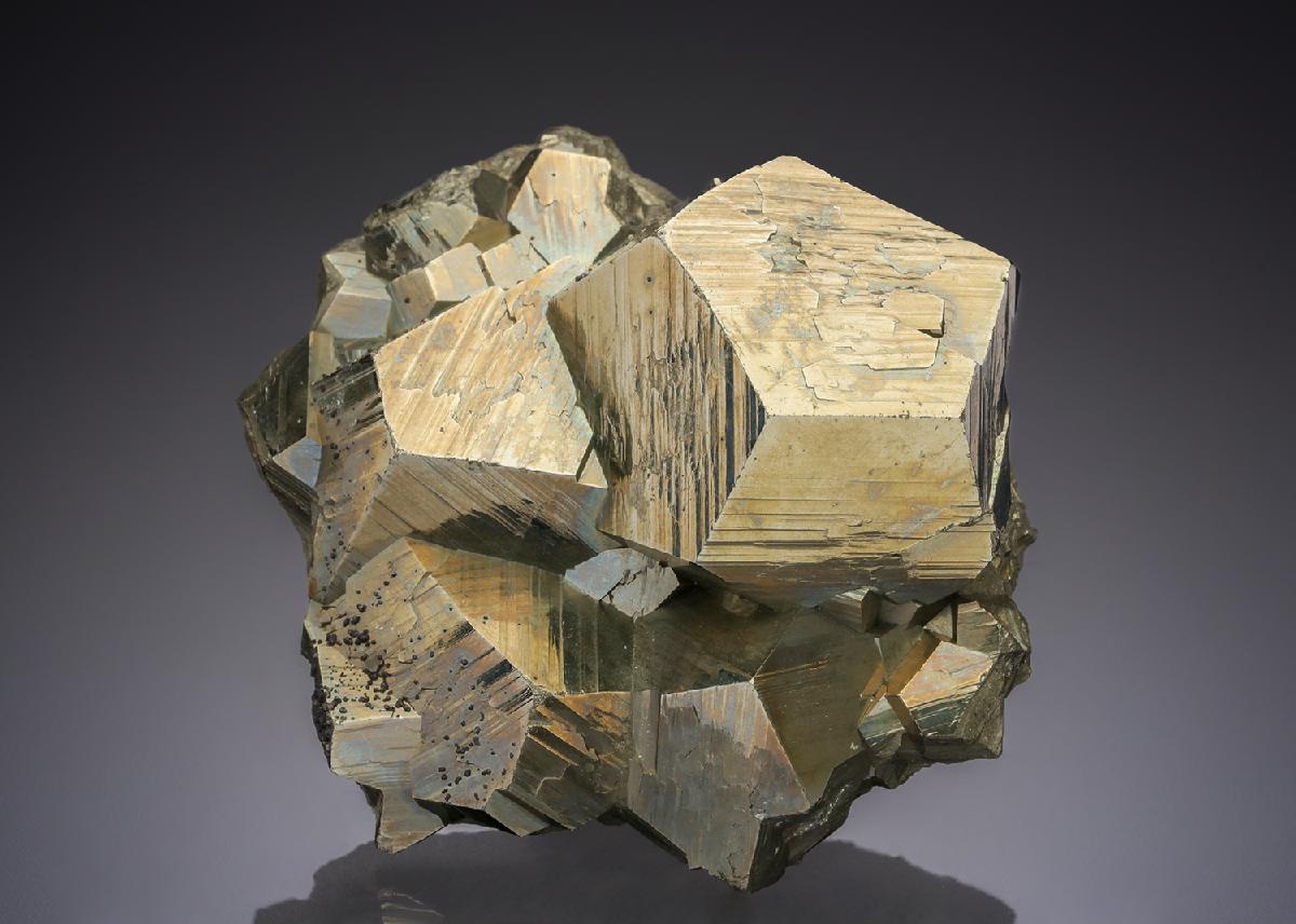 CC30563 specimen image