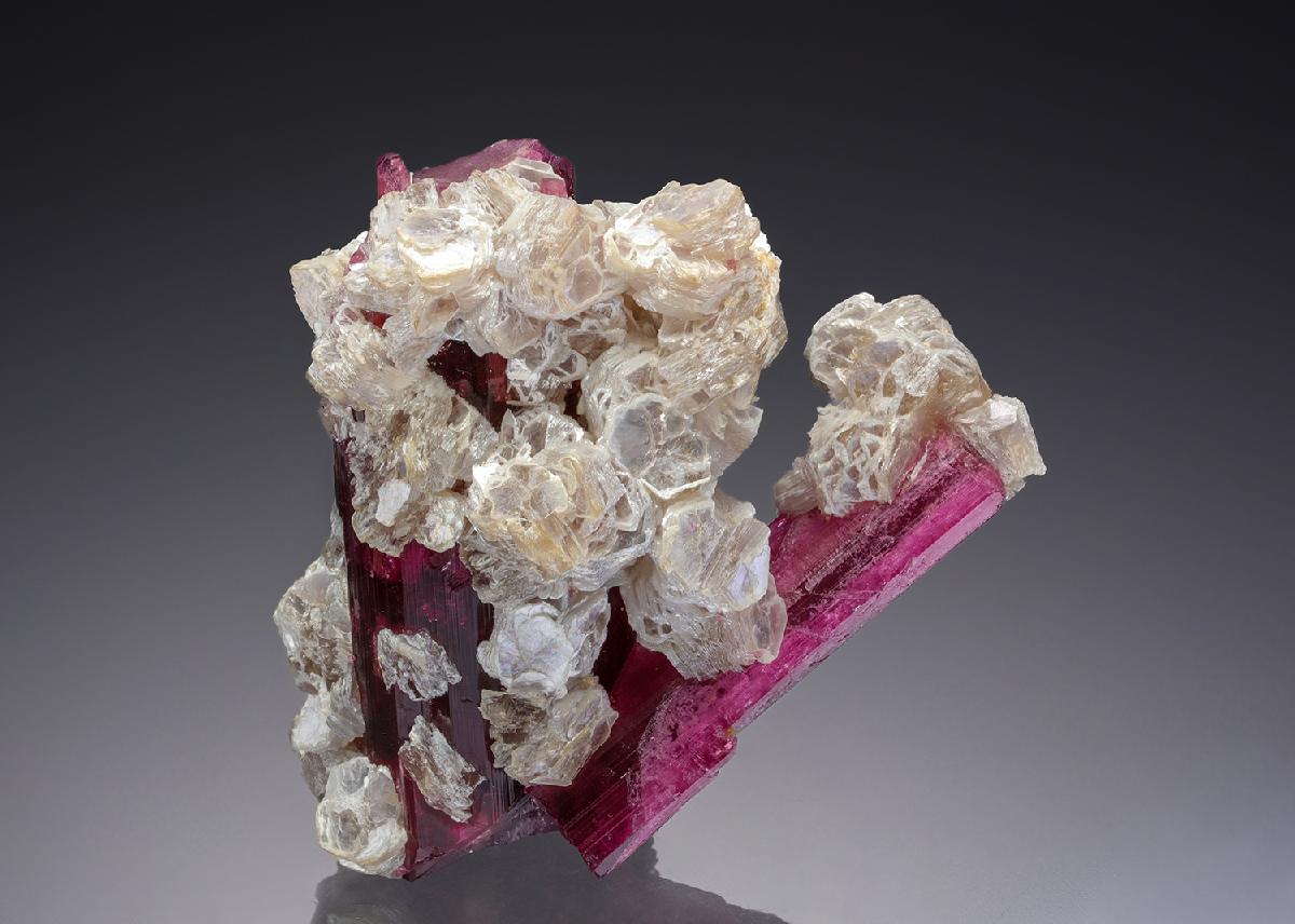 CC30567 specimen image