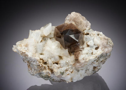 CC30573 specimen image