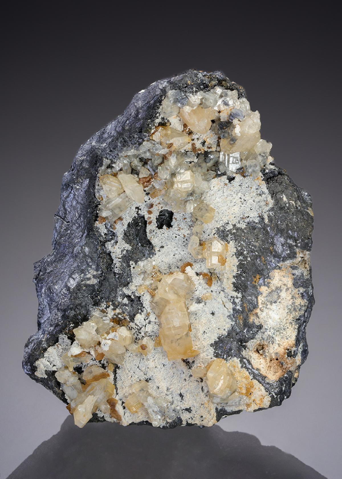 CC30579 specimen image