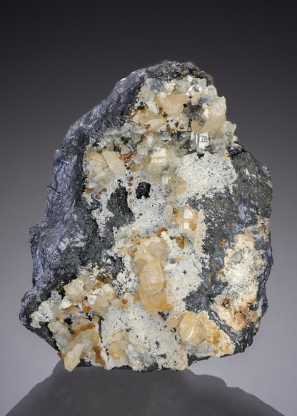 CC30579 specimen image