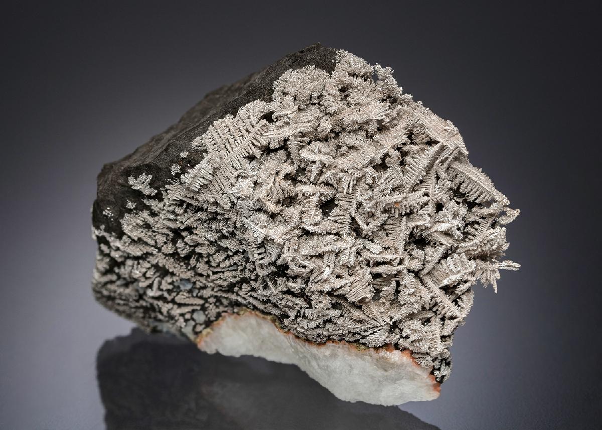 CC30725 specimen image