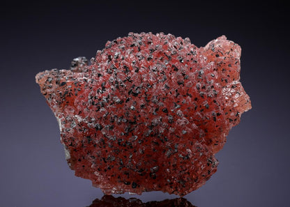 CC31511 specimen image