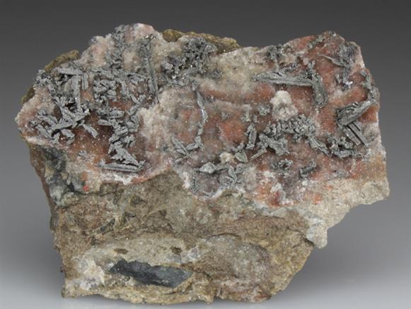 CC3166 specimen image