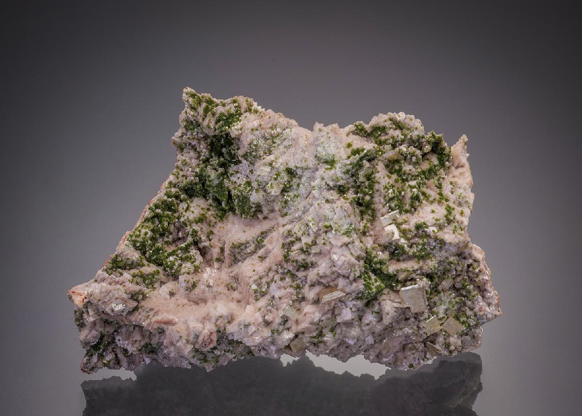 CC31804 specimen image