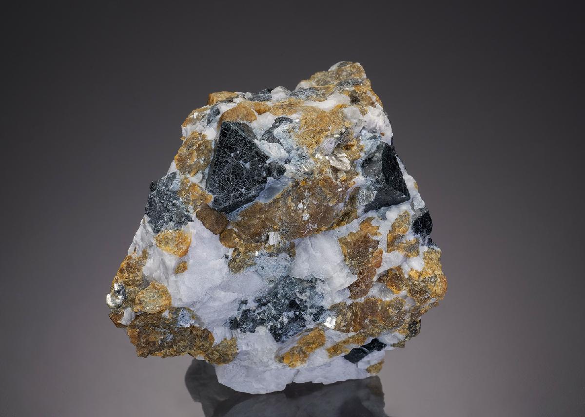 CC31813 specimen image