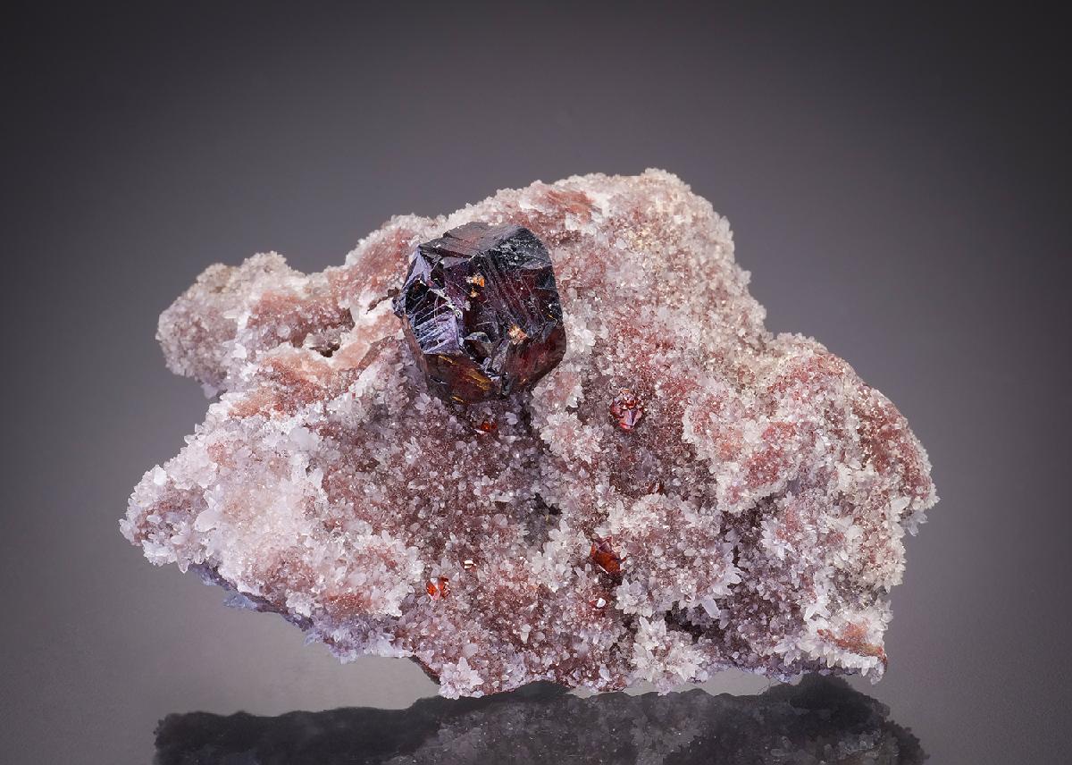 CC31834 specimen image