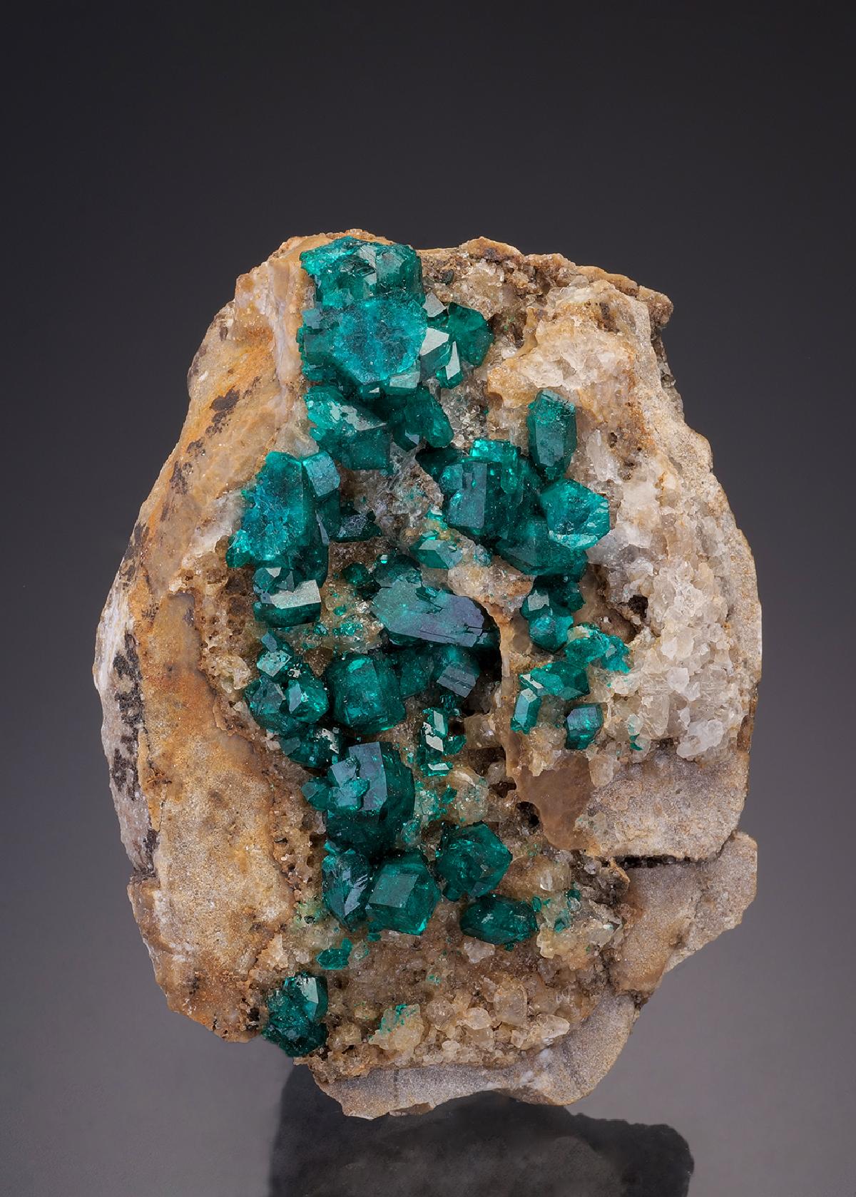 CC31849 specimen image