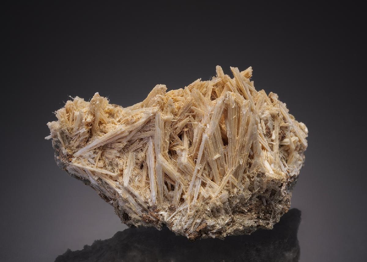 CC31885 specimen image