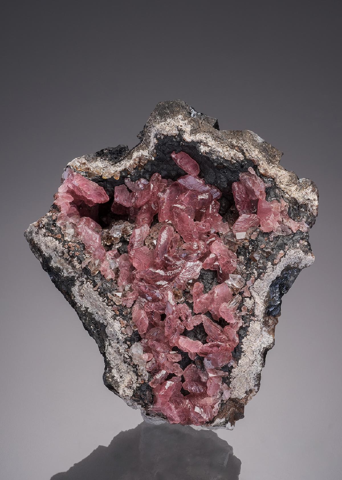 CC31939 specimen image