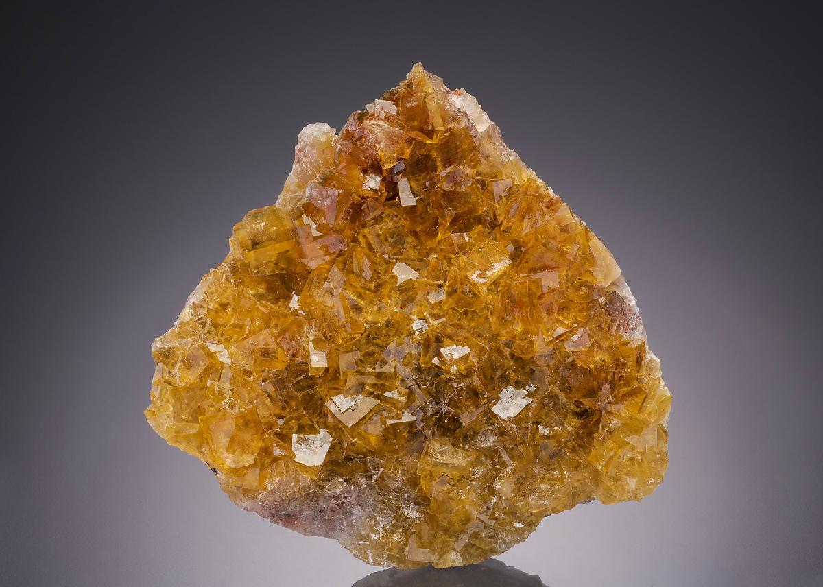 CC31942 specimen image