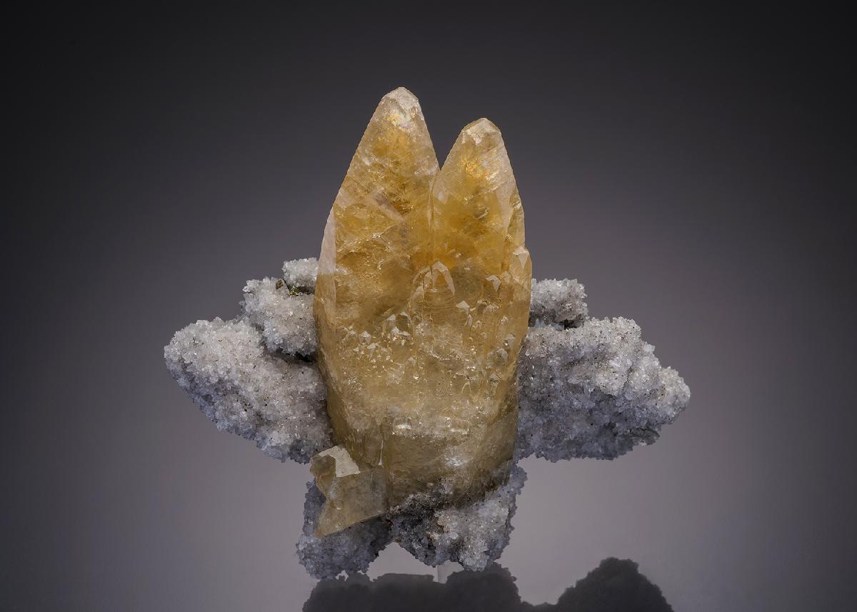 CC31948 specimen image