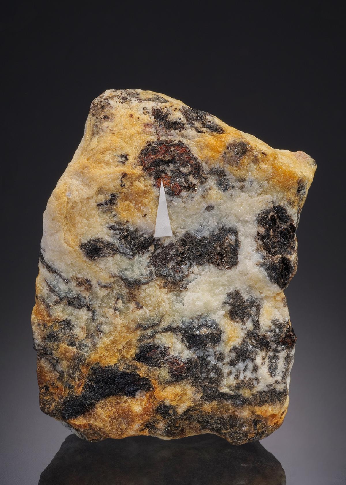 CC32002 specimen image
