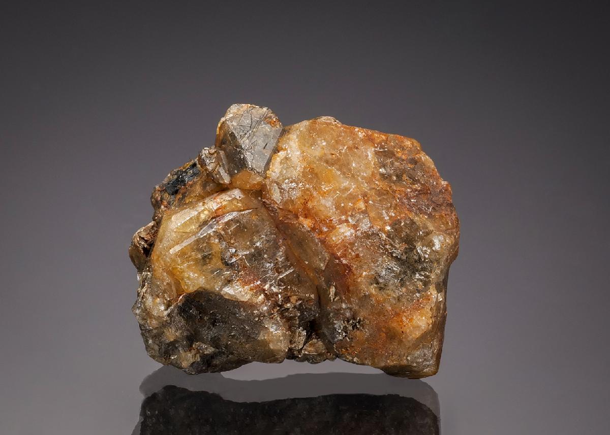 CC32008 specimen image