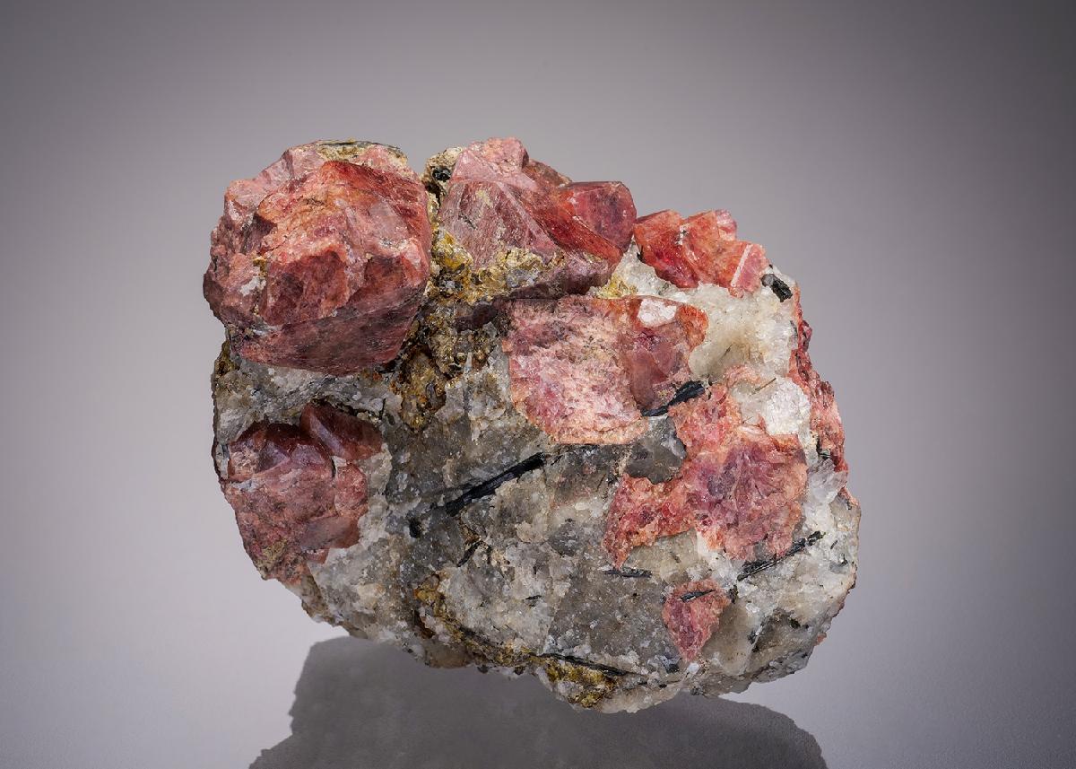 CC32029 specimen image