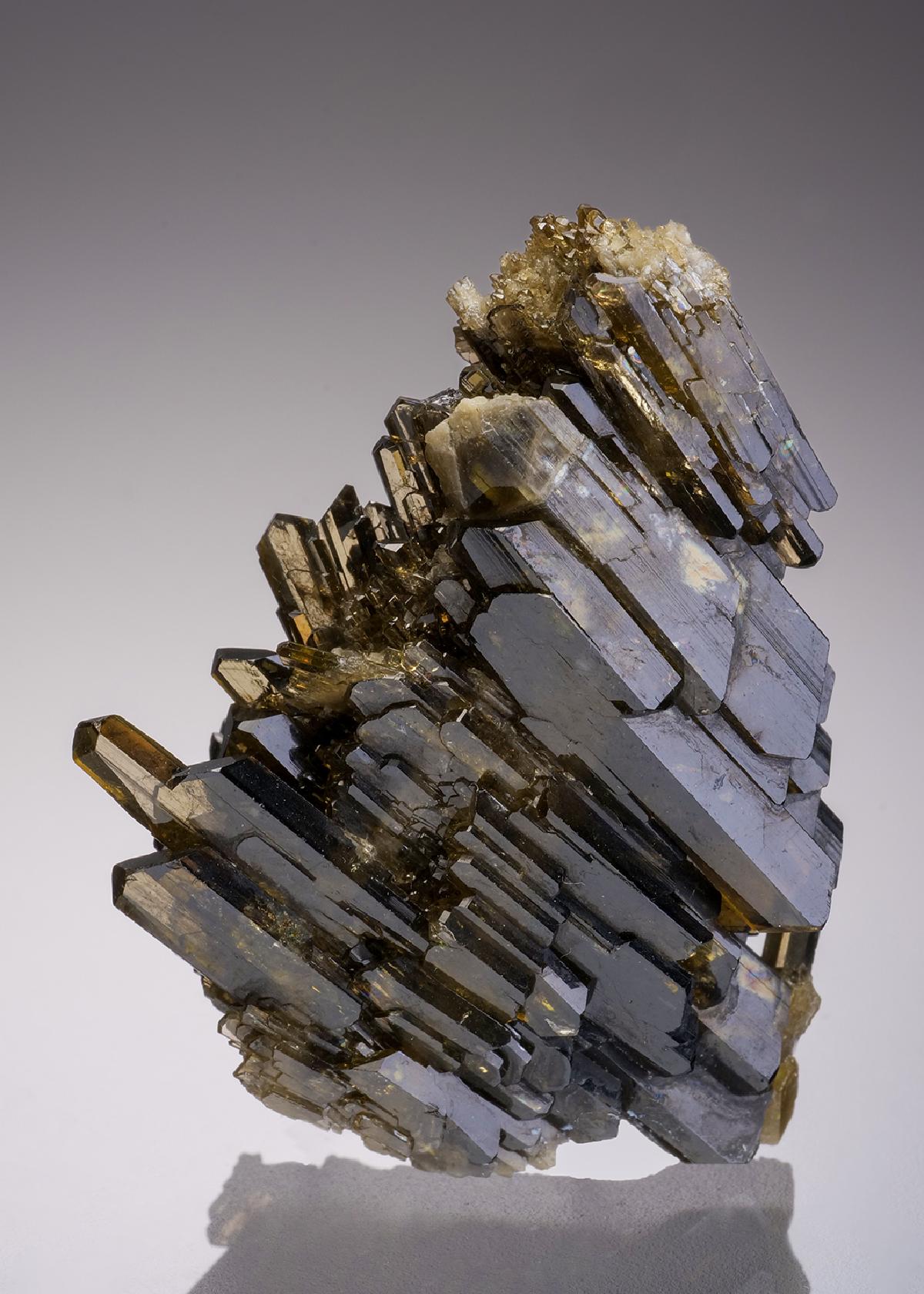 CC32044 specimen image