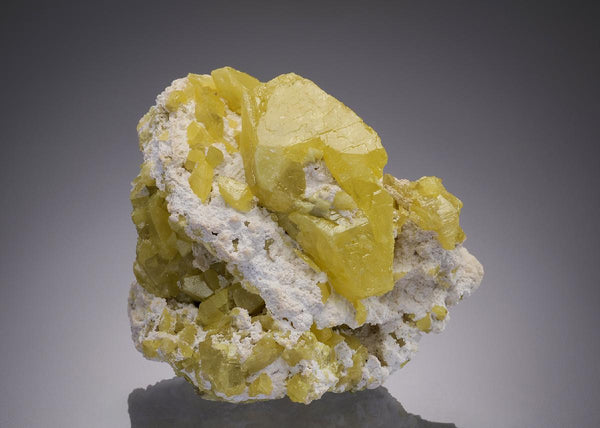 CC32062 specimen image