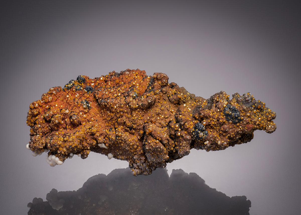 CC32095 specimen image