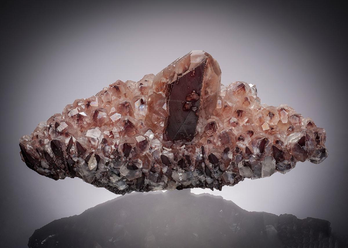 CC32101 specimen image