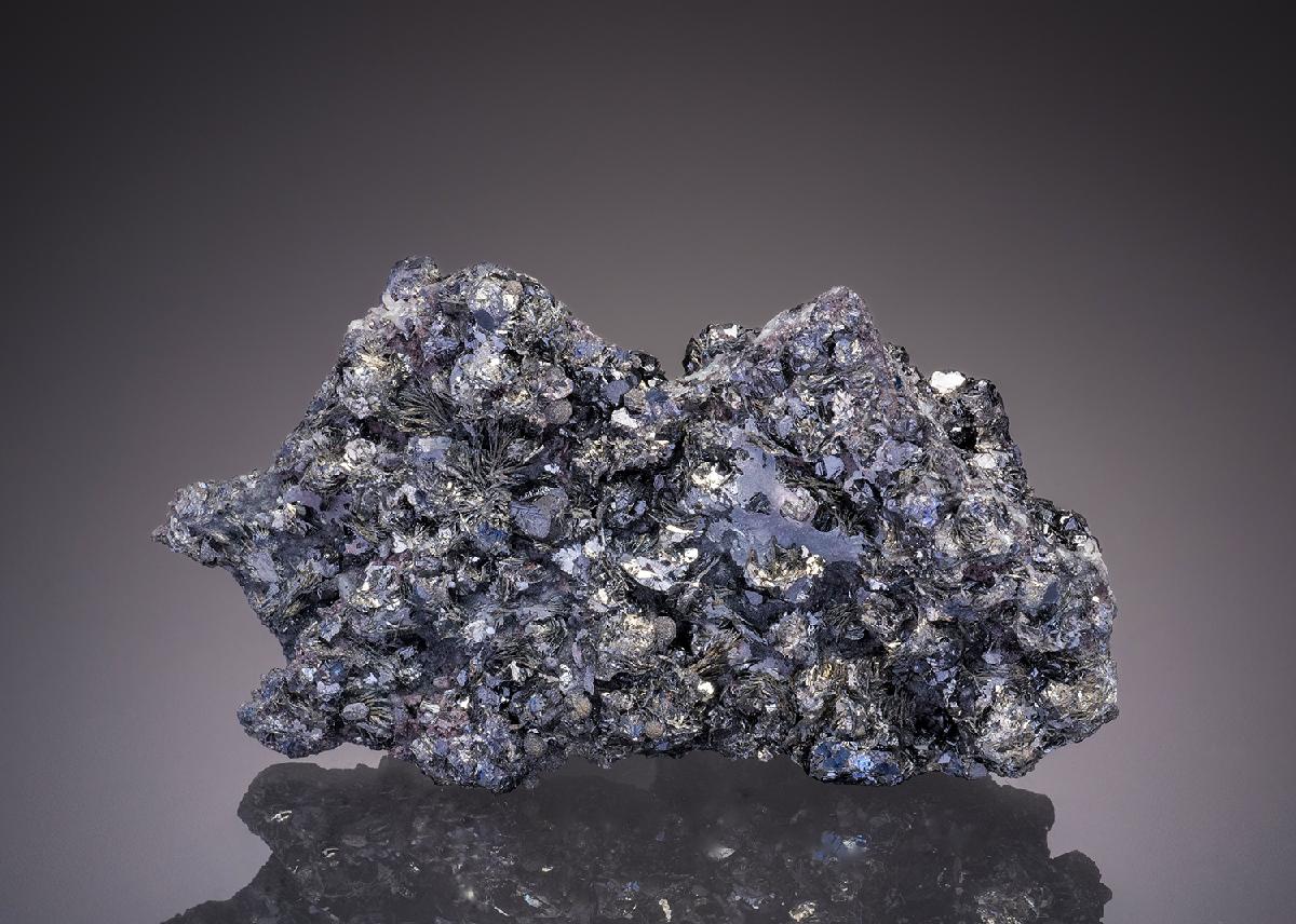 CC32179 specimen image
