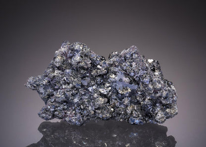 CC32179 specimen image