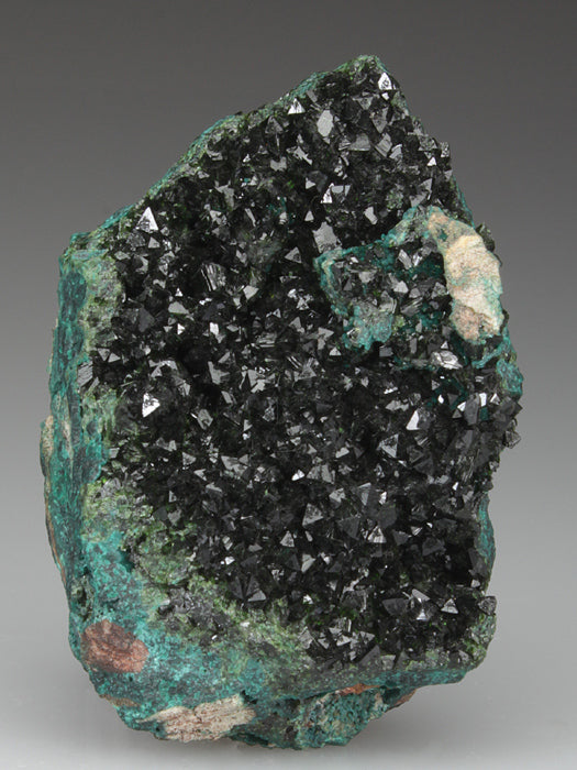 CC3220 specimen image