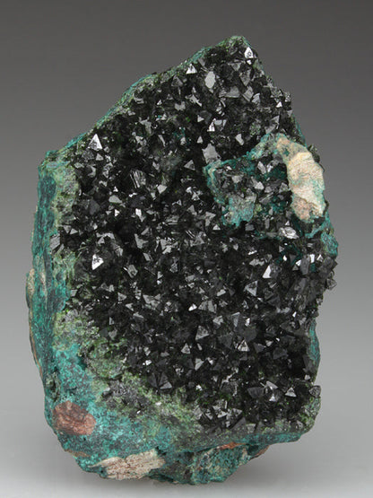 CC3220 specimen image