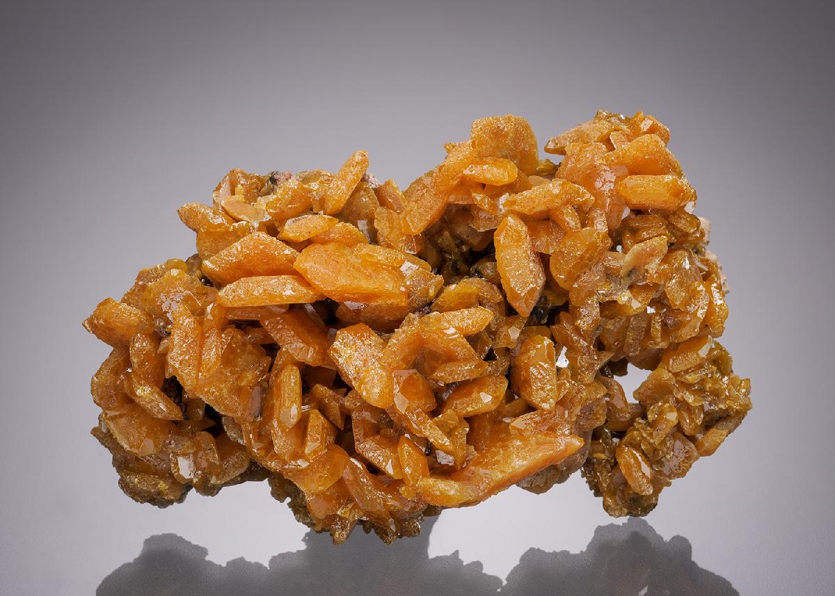 CC32209 specimen image