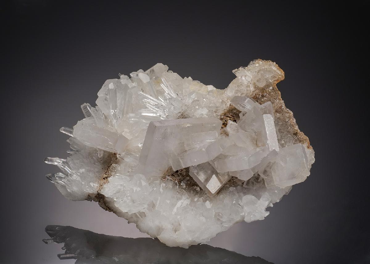 CC32221 specimen image