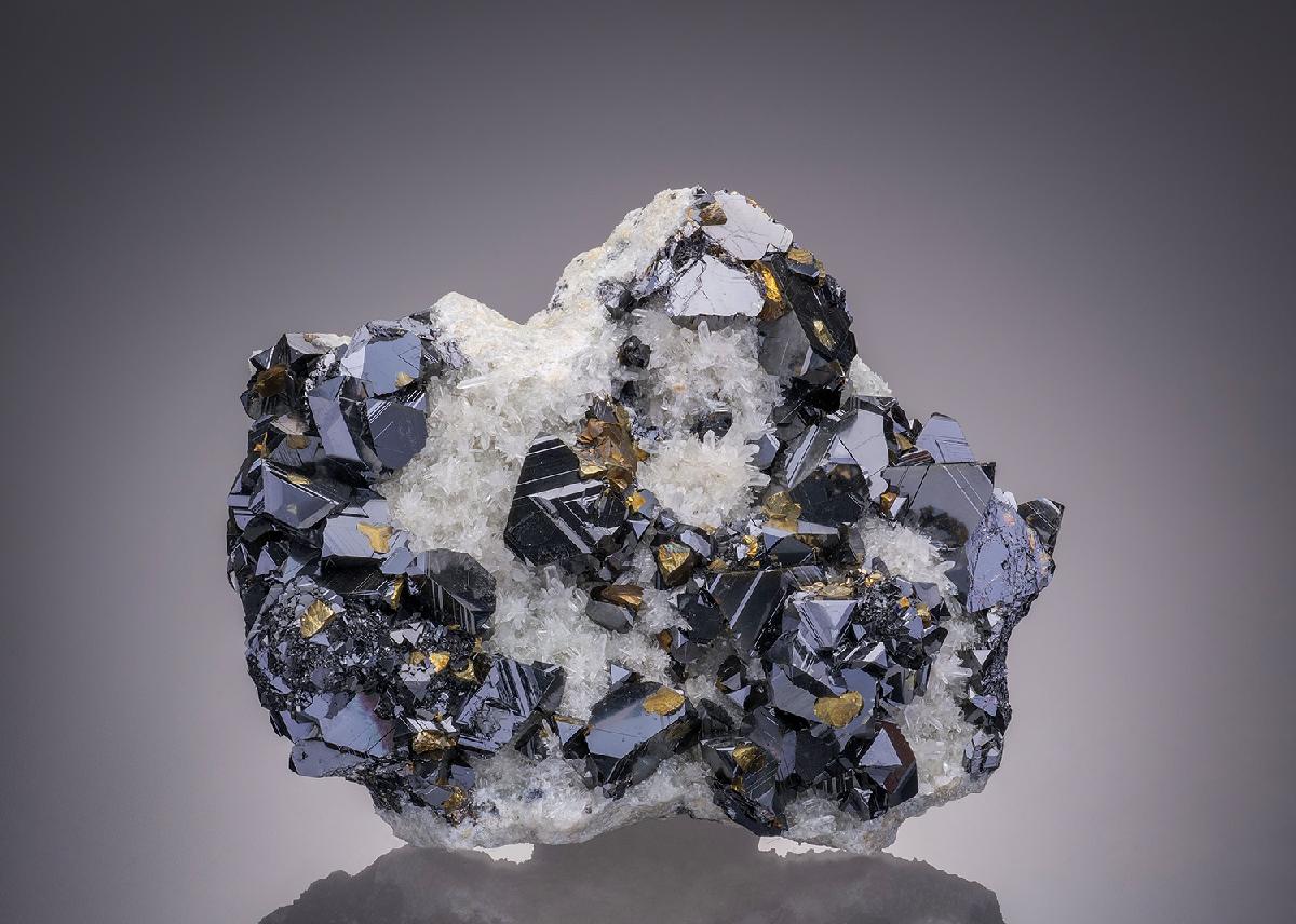 CC32248 specimen image