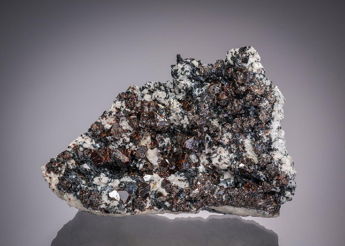 CC32281 specimen image