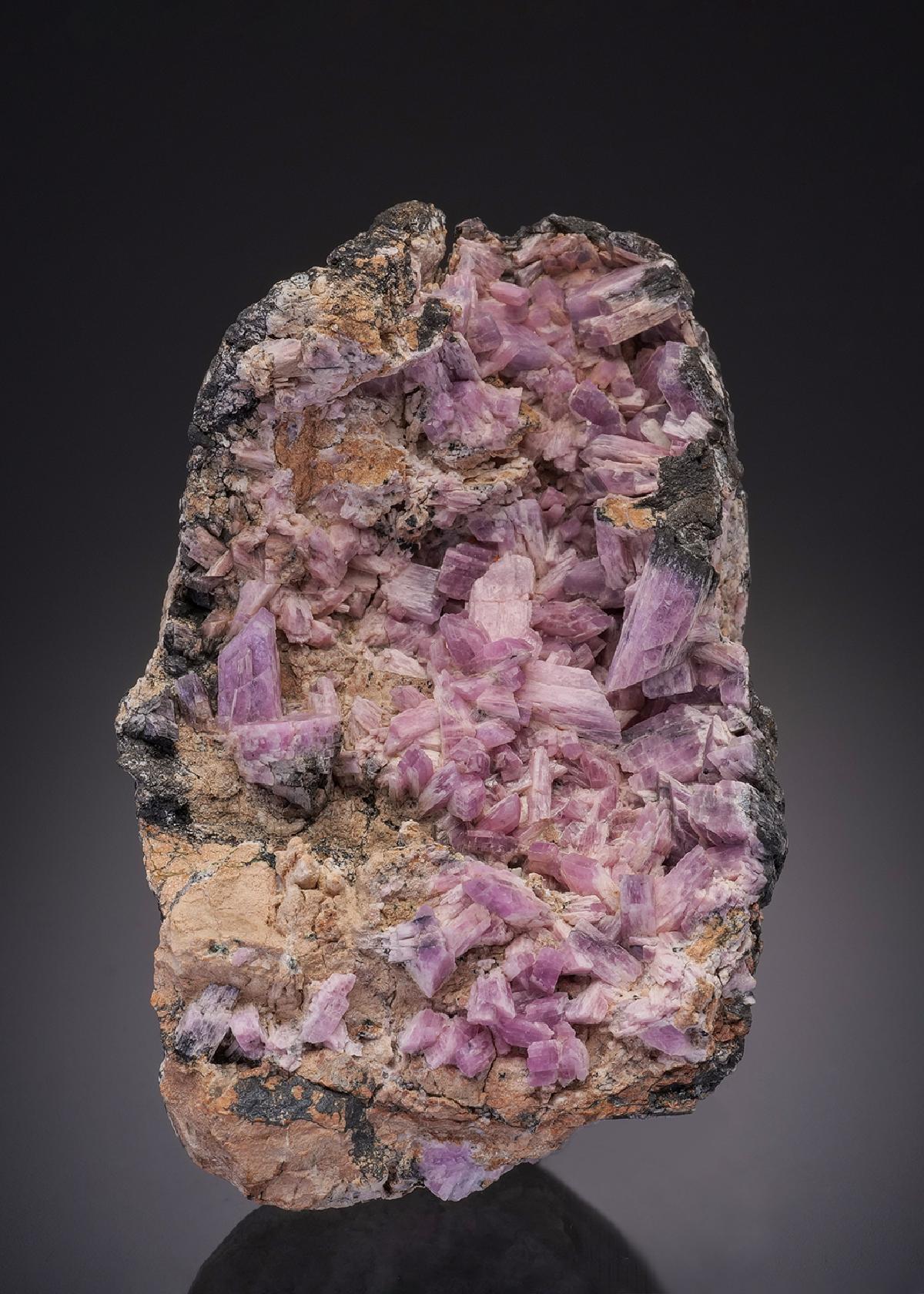 CC32326 specimen image