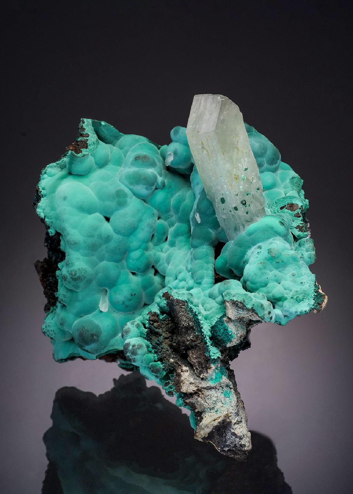 CC32329 specimen image