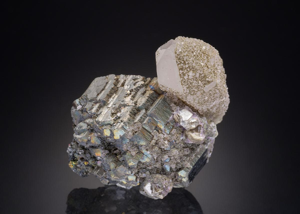CC32356 specimen image