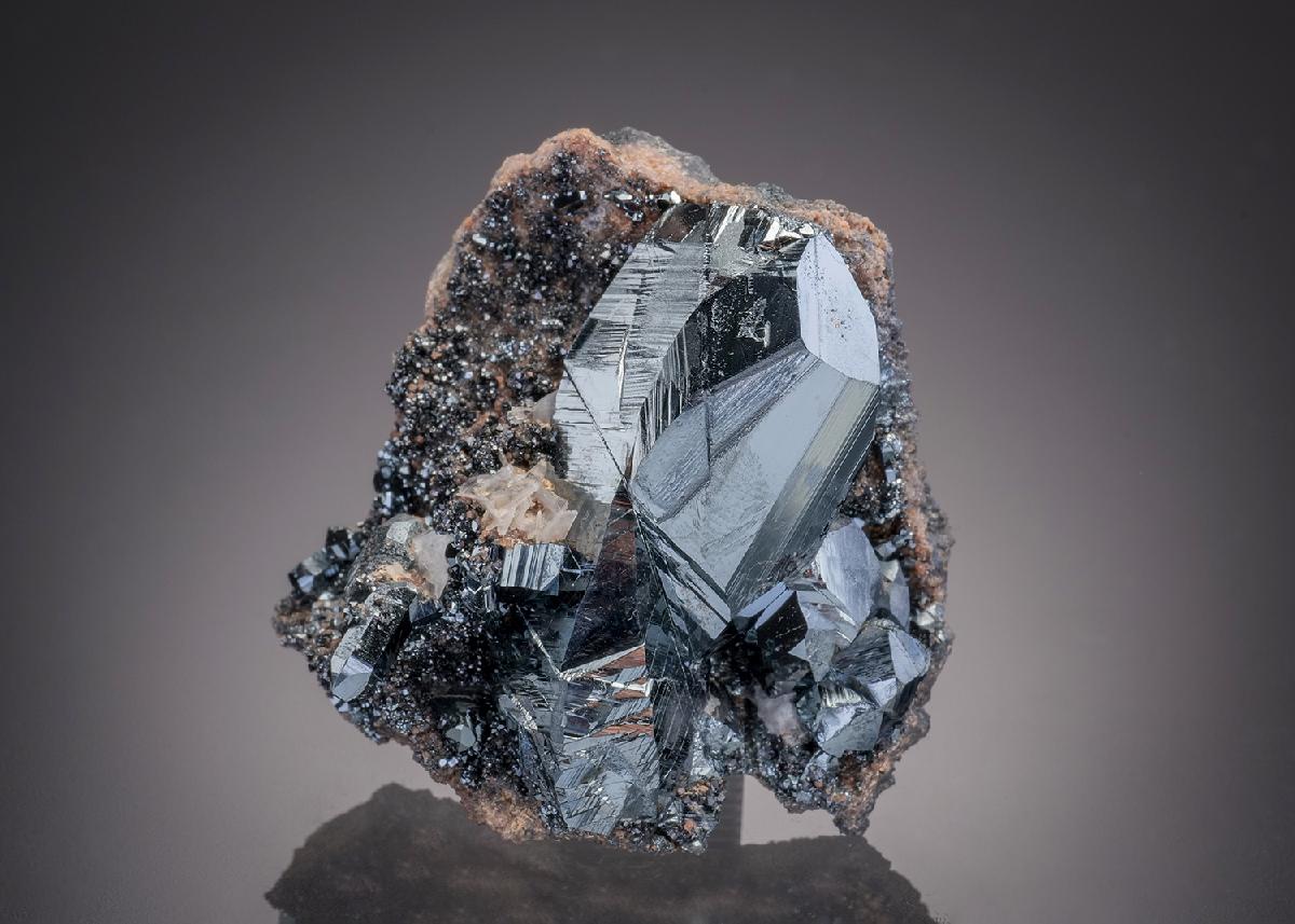 CC32362 specimen image