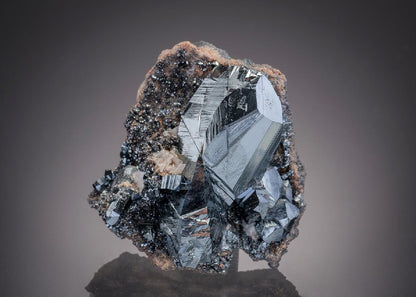 CC32362 specimen image