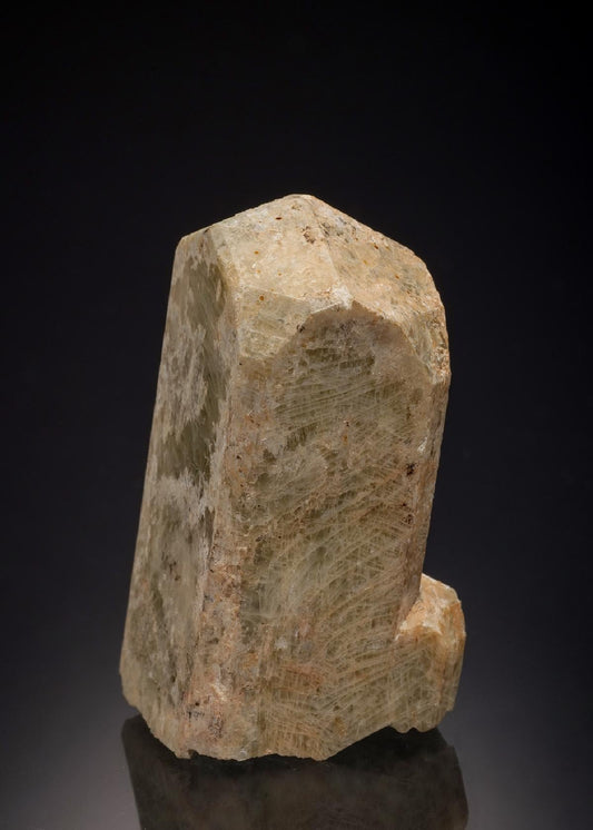CC32392 specimen image