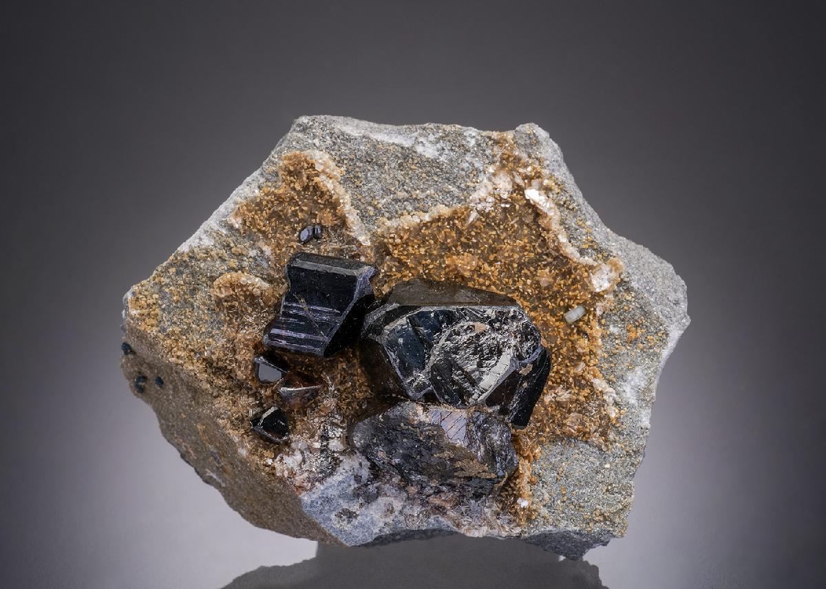 CC32407 specimen image