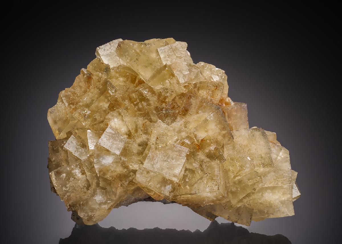 CC32491 specimen image