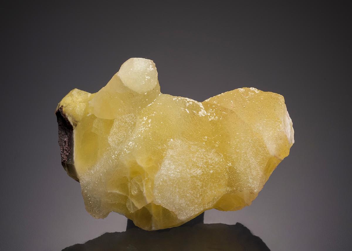 CC32506 specimen image